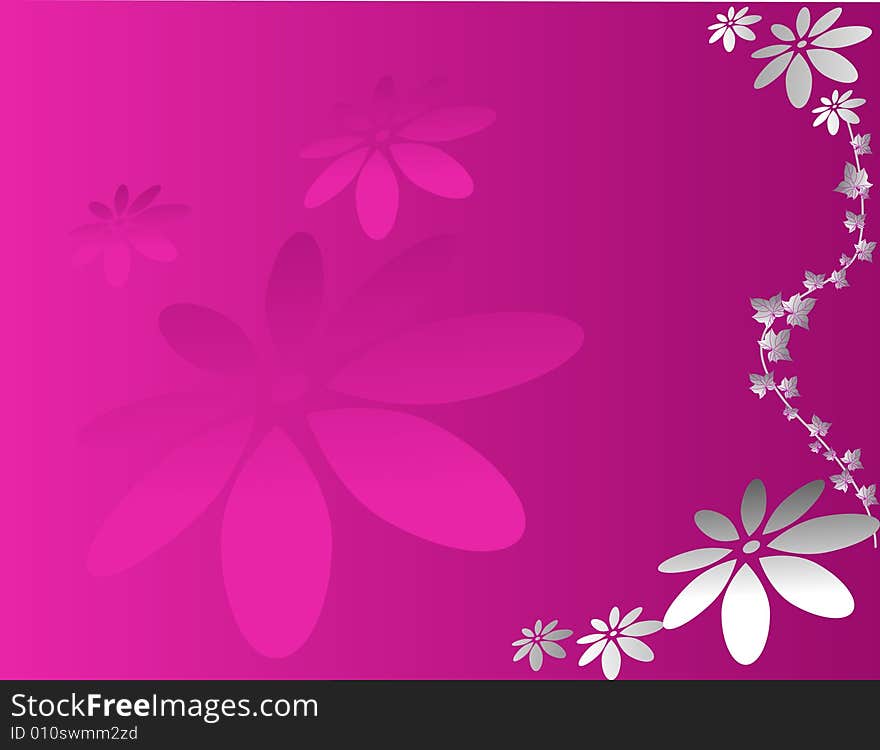 Pink background  with three flowers. Pink background  with three flowers