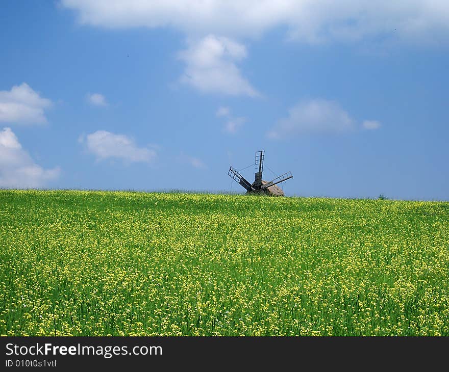 Windmill in the field with flower