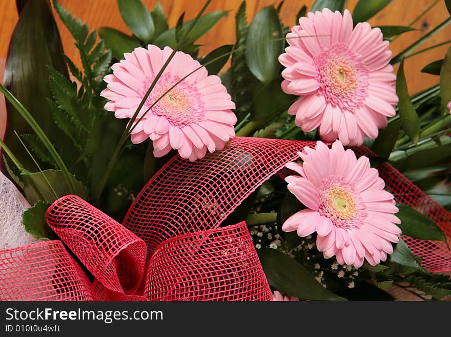 Pink gerberas