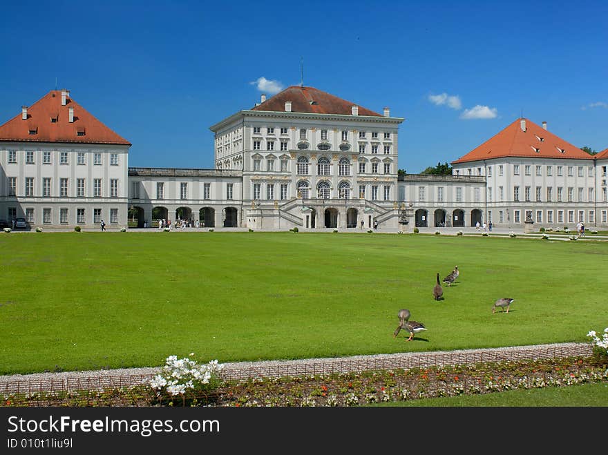 Gooses on the grass on the background of Nymphenburg palace. Gooses on the grass on the background of Nymphenburg palace