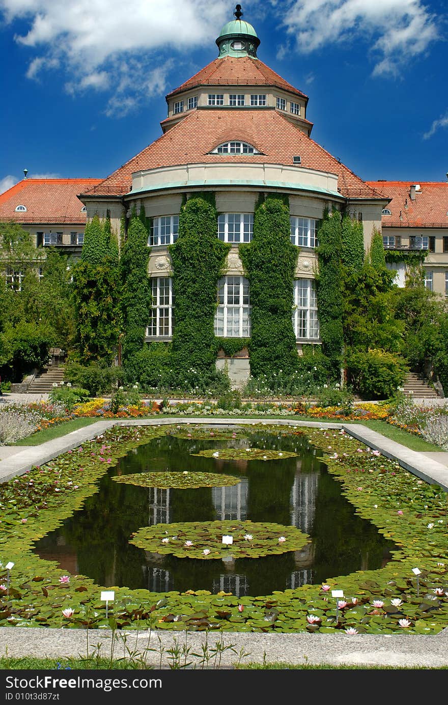 Water-lilies in the small pond near palace. Water-lilies in the small pond near palace