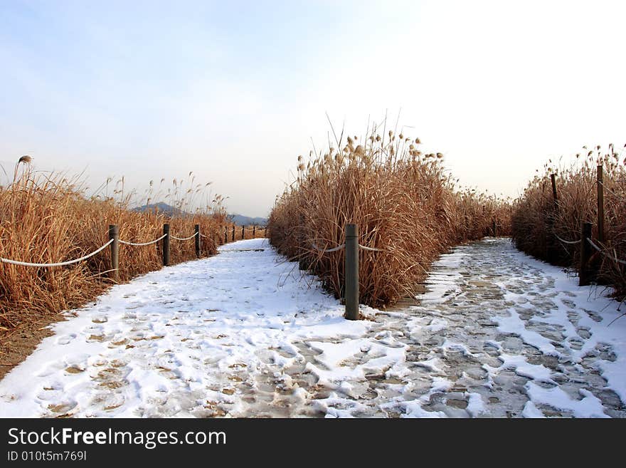 Sky park in Seoul in winter