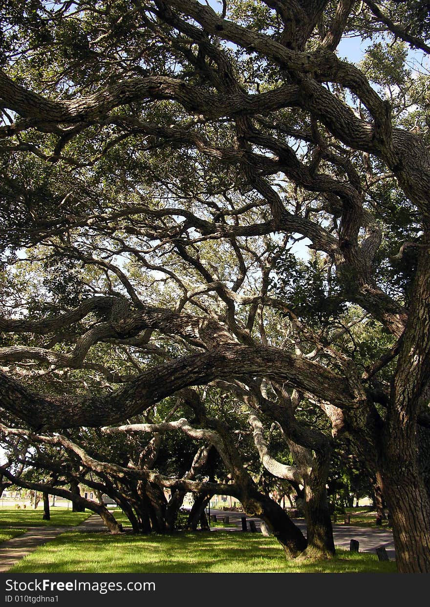 Cape Canaveral Park