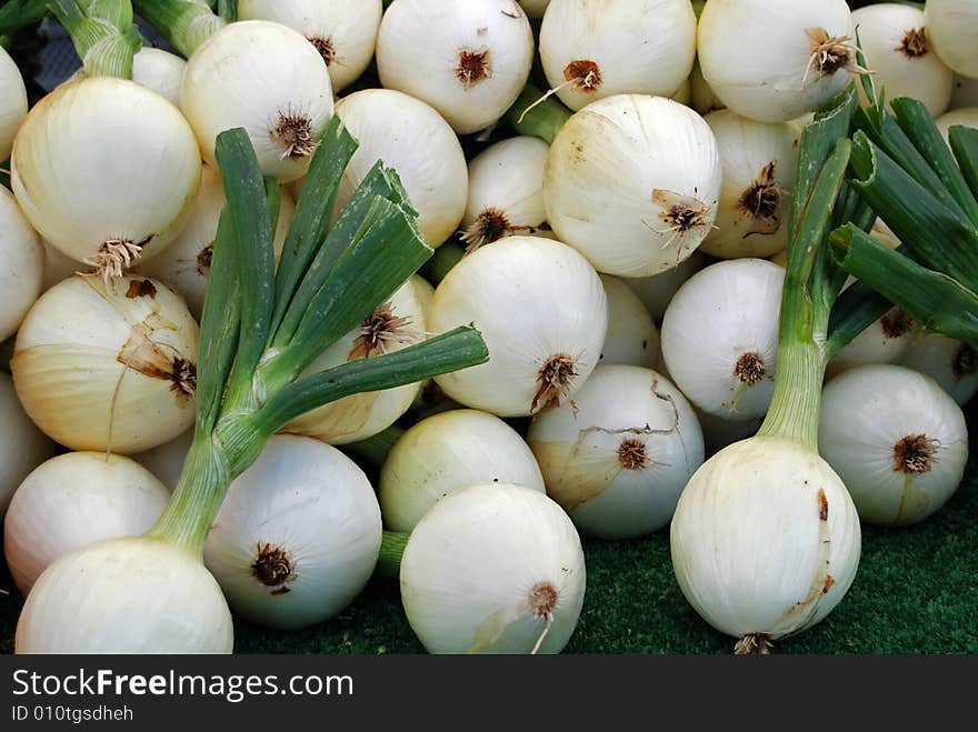 Edible Bulbs