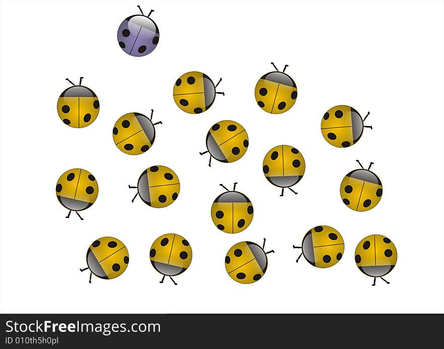 A lot of yellow lady birds (Coccinella) all together and one violet that it's apart and going separate way. A lot of yellow lady birds (Coccinella) all together and one violet that it's apart and going separate way