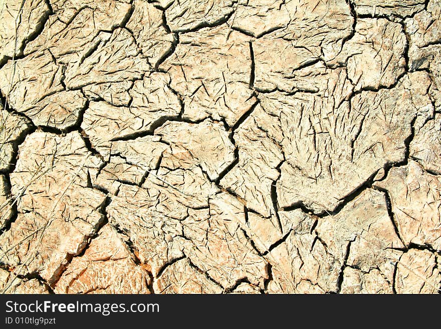 Dry Cracked Land