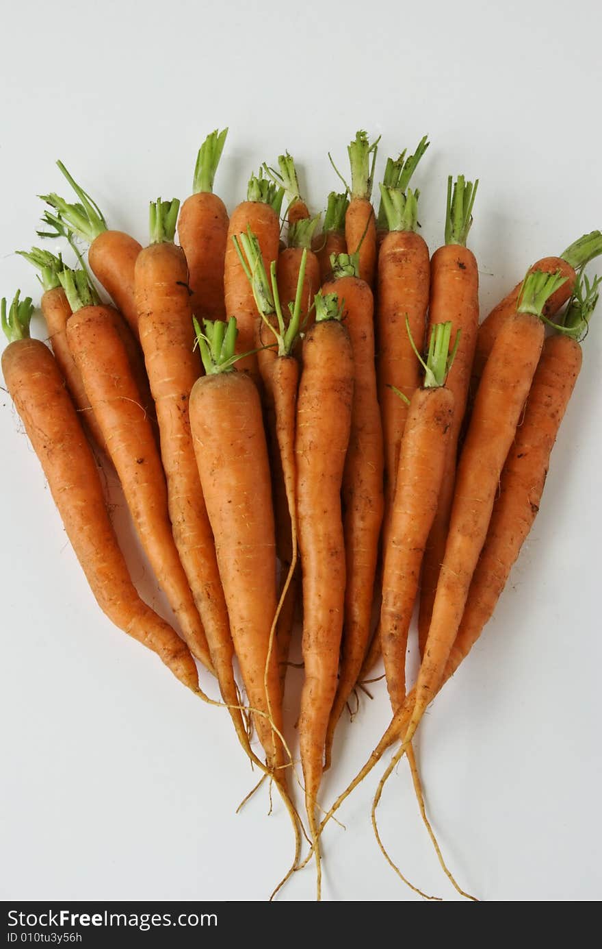 A bunch of carrots await washing and cooking. A bunch of carrots await washing and cooking