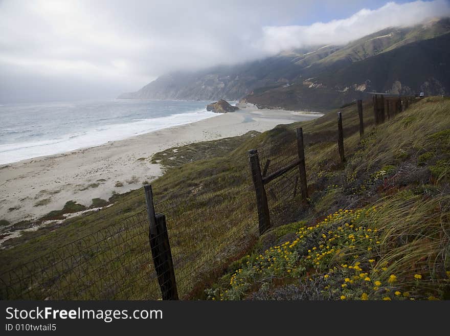 Wild california coast