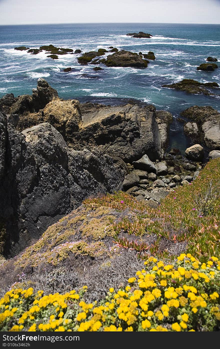 Wild flowers and the coast of central California. Wild flowers and the coast of central California.