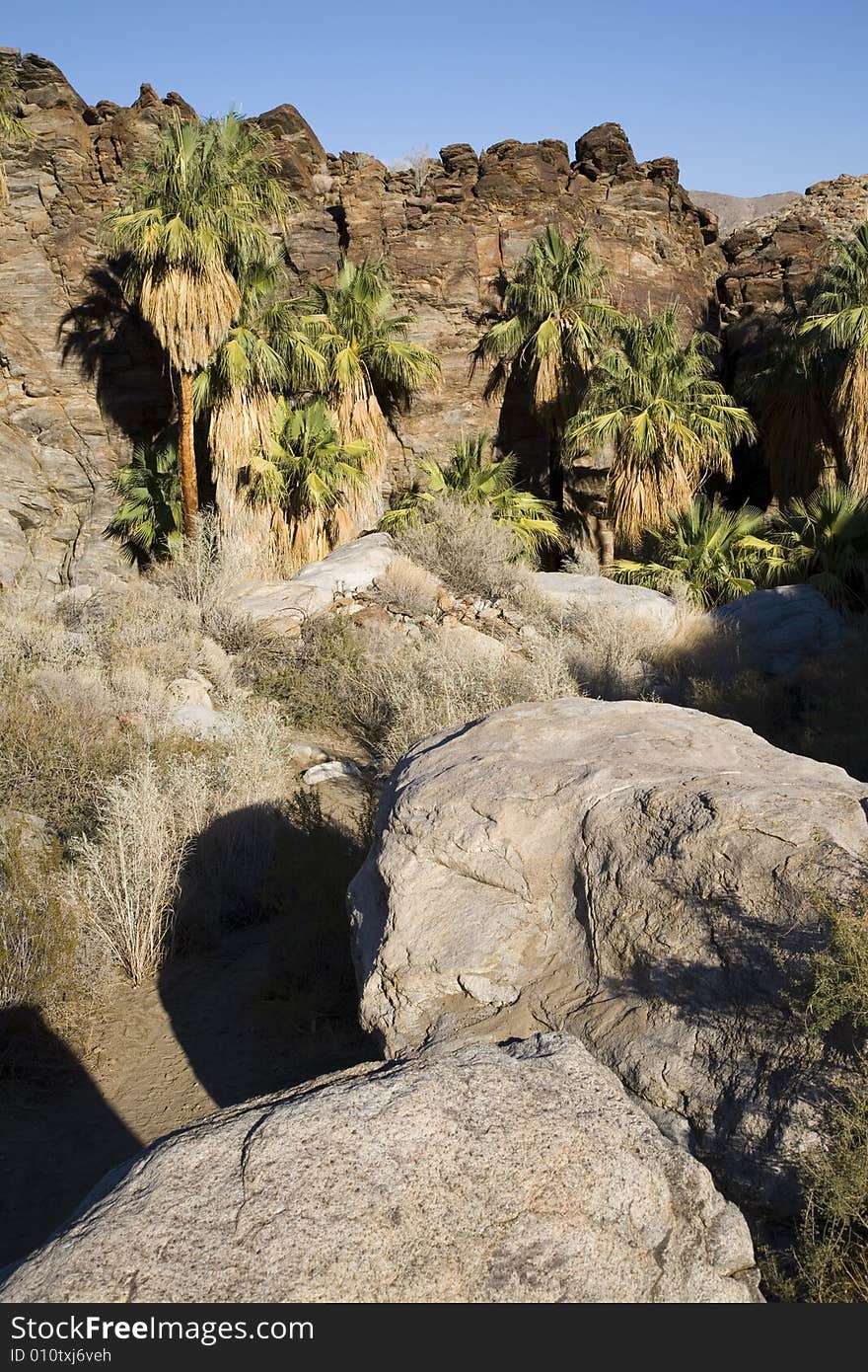 Palm Springs oasis with palm trees, cliffs, and large boulders. Palm Springs oasis with palm trees, cliffs, and large boulders.