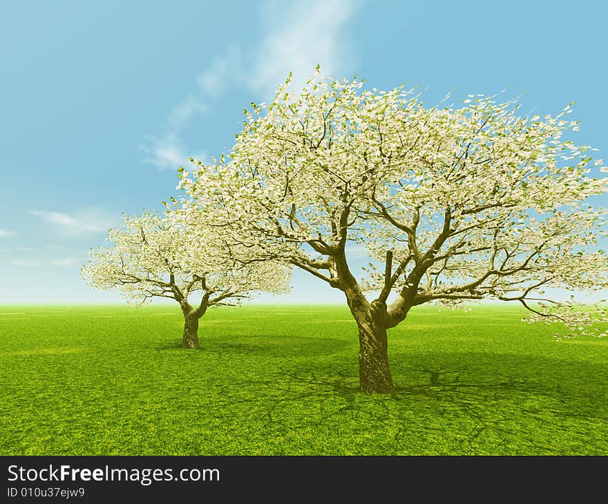 Beautiful landscape with blossoming tree