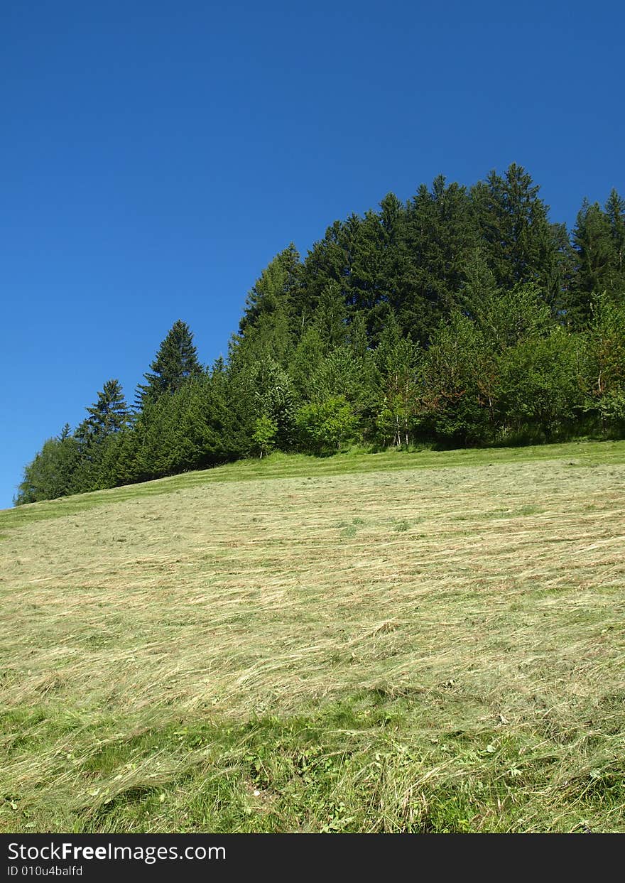 A beautiful shot of falls of a hill in Gardena valley with cutted hay