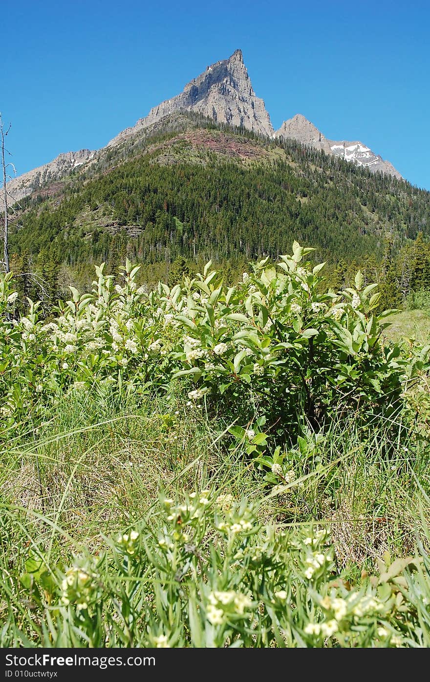 Mountains and grassland