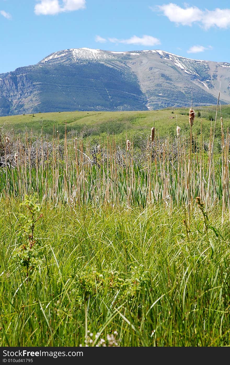 Mountains and hillside grassland in waterton lakes national park, alberta, canada. Mountains and hillside grassland in waterton lakes national park, alberta, canada