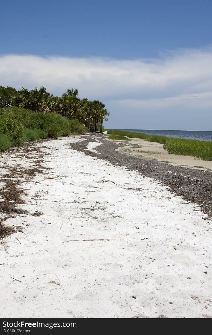 Long Stretch of Beach