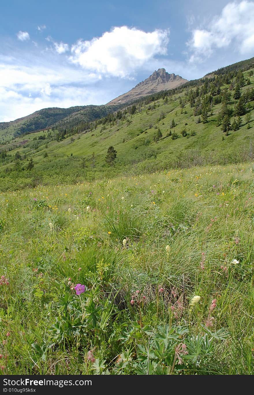 Mountains and hillside grassland in waterton lakes national park, alberta, canada. Mountains and hillside grassland in waterton lakes national park, alberta, canada