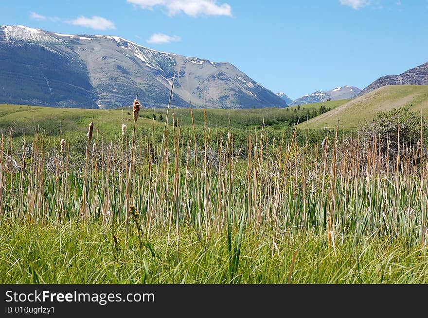 Mountains and hillside grassland in waterton lakes national park, alberta, canada. Mountains and hillside grassland in waterton lakes national park, alberta, canada