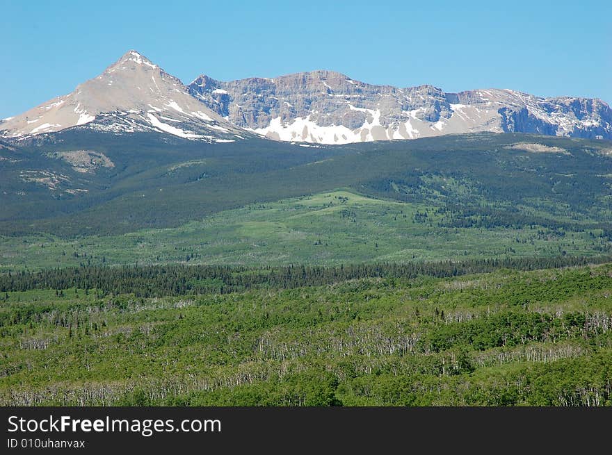 Rocky mountain and hillside forests in glacier national park, montana, united states. Rocky mountain and hillside forests in glacier national park, montana, united states