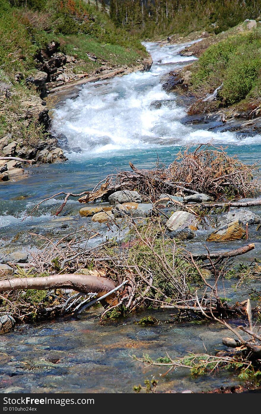 Drift tree branches in a creek in glacier national park, montana, usa. Drift tree branches in a creek in glacier national park, montana, usa