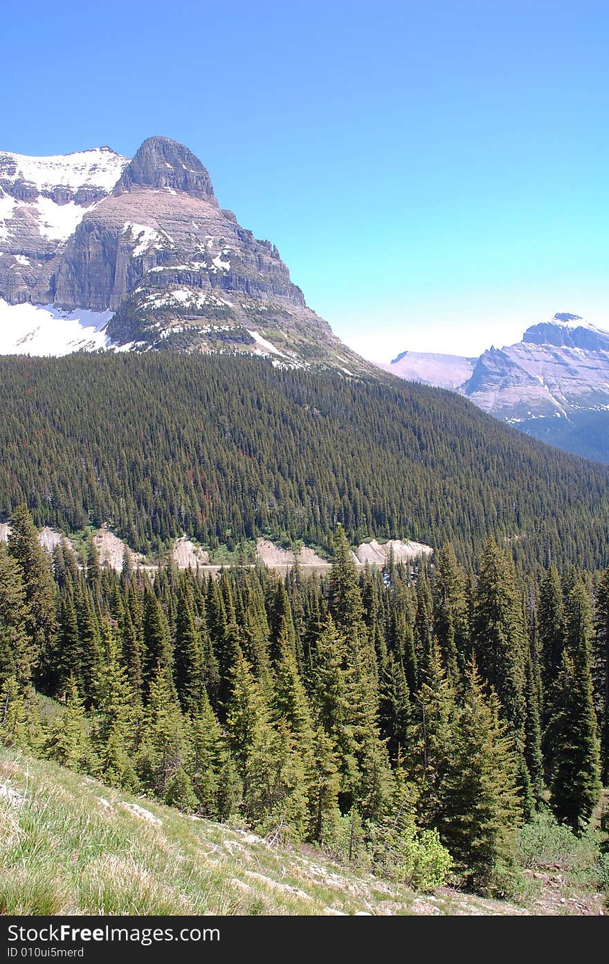 Rocky mountain and hillside forests in glacier national park, montana, united states. Rocky mountain and hillside forests in glacier national park, montana, united states