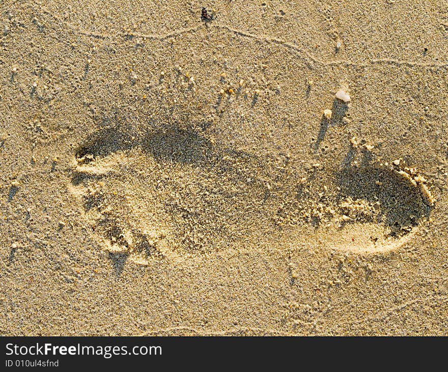 Footprint in the Sands