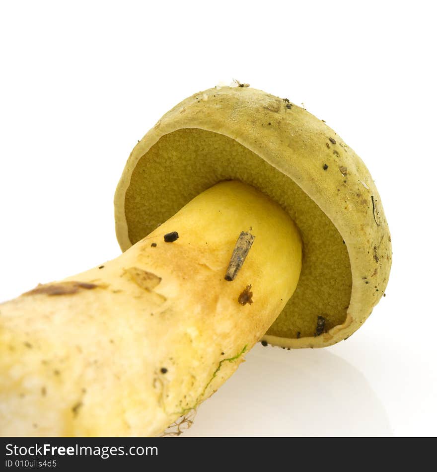 Yellow-green cap mushroom