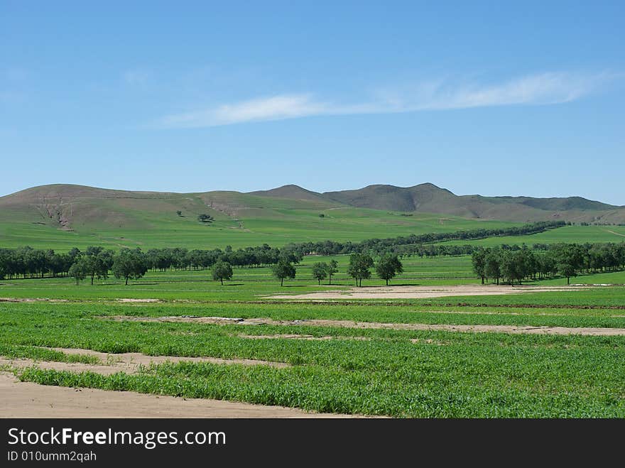 Grasslands of bashang