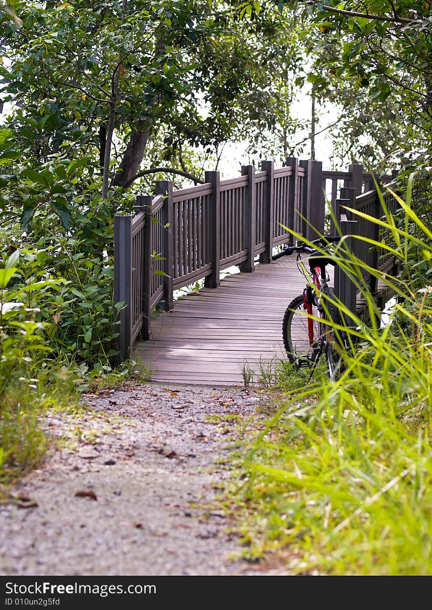 Bicycle parked at a abridge in a wetlands park. Bicycle parked at a abridge in a wetlands park