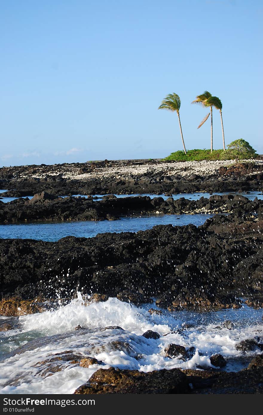 Hawaii Coast Line