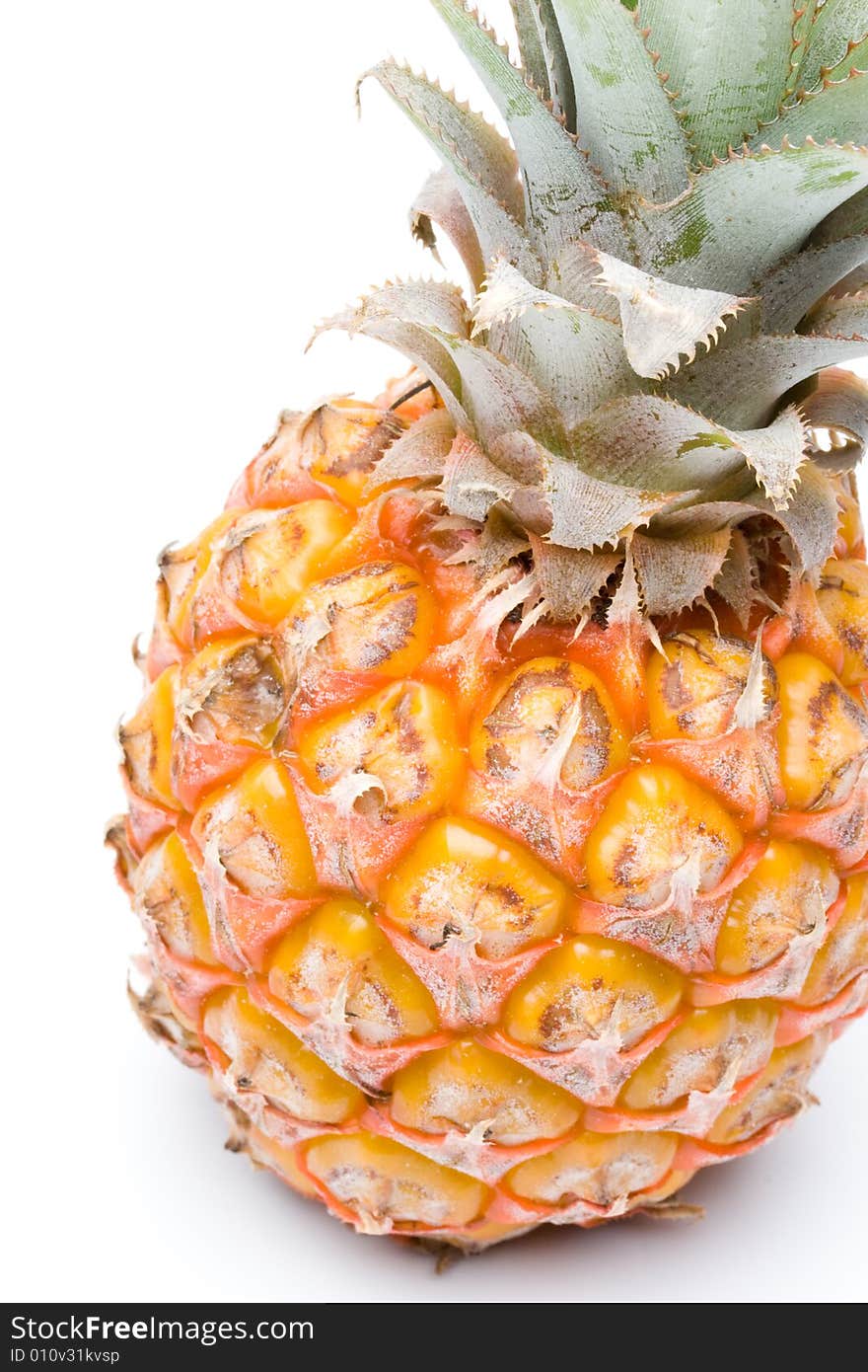 Fresh Pineapple