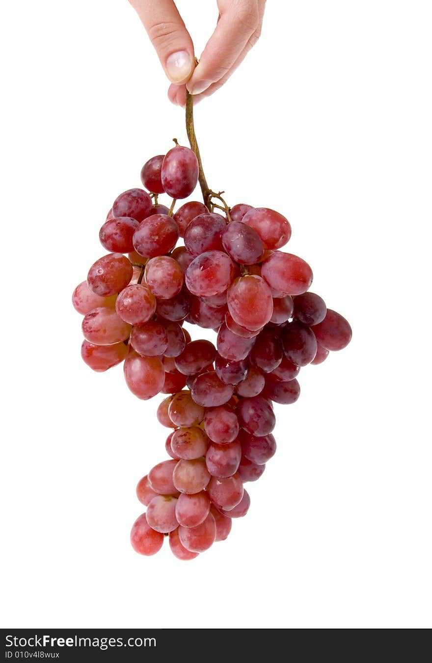 Bunch of grape in hand on white ground