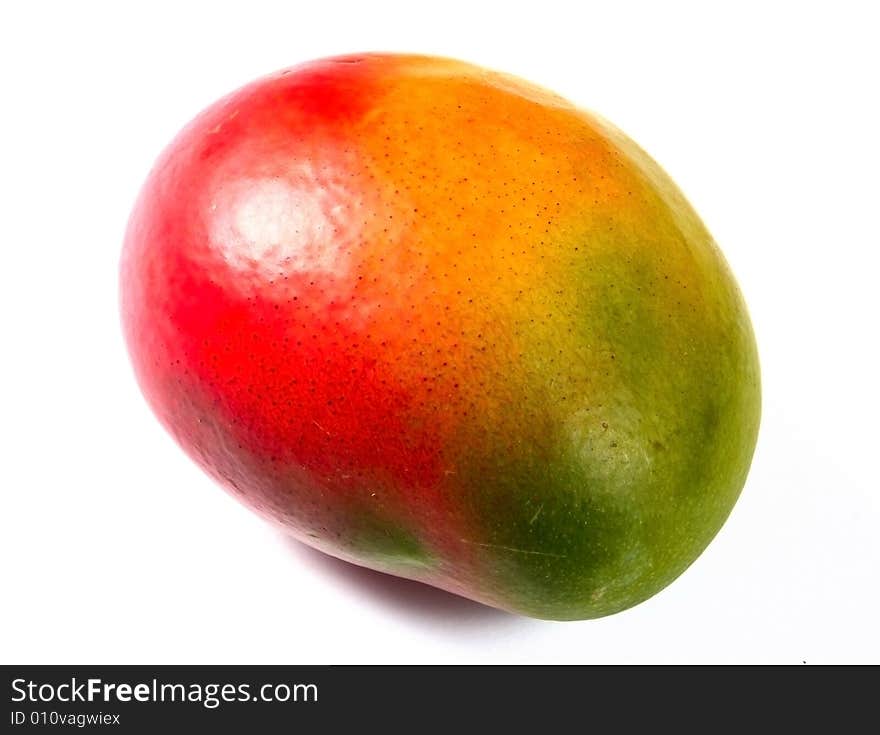 Mango fruit isolated