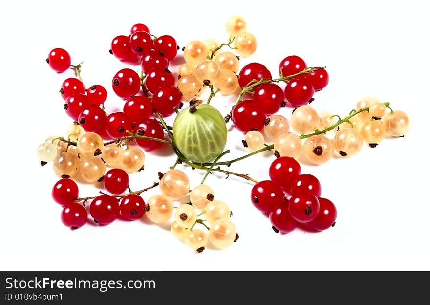 Fresh red, white currants and gooseberry on white