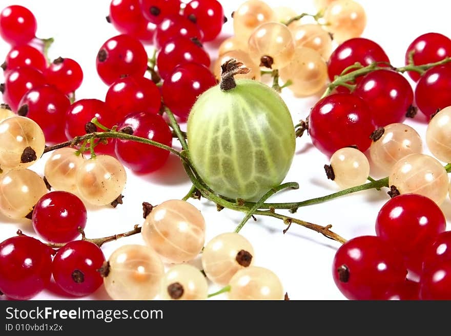 Fresh red, white currants and gooseberry on white