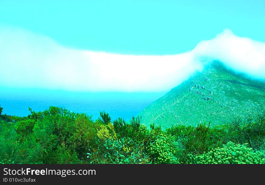 Little flowers and mountain with cloud