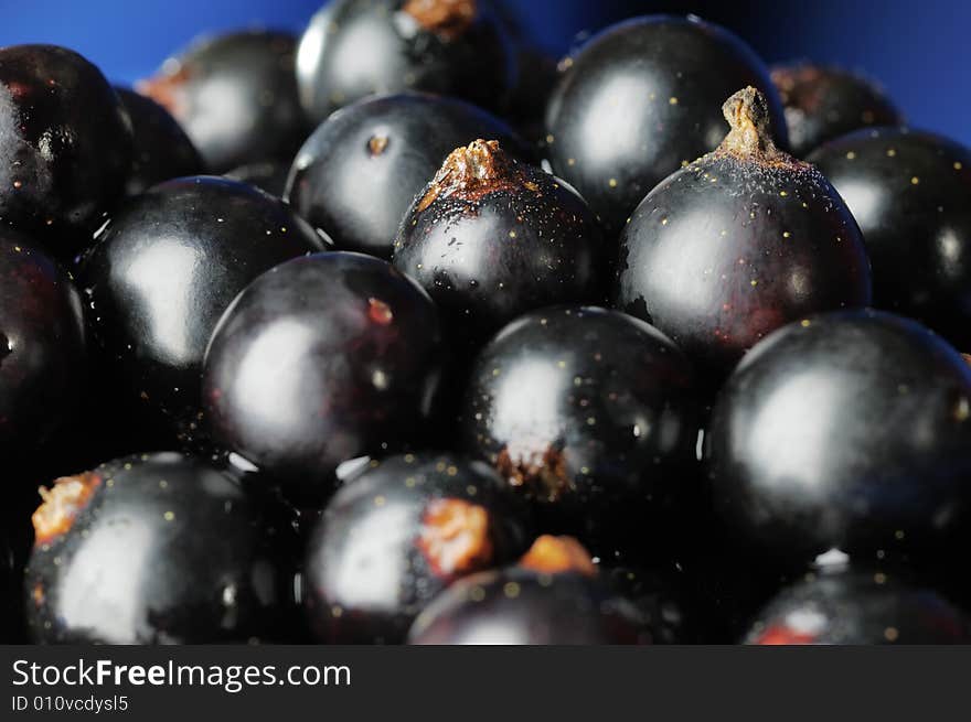 Black Currants.