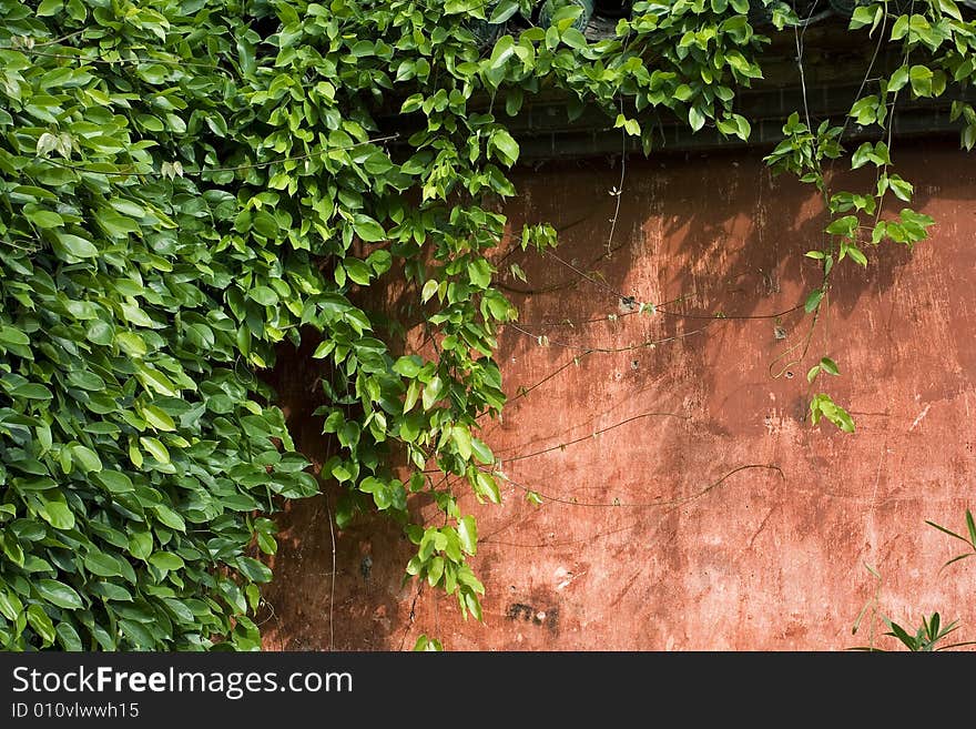 Red wall, green leaves, that's a corner of a park. Red wall, green leaves, that's a corner of a park.