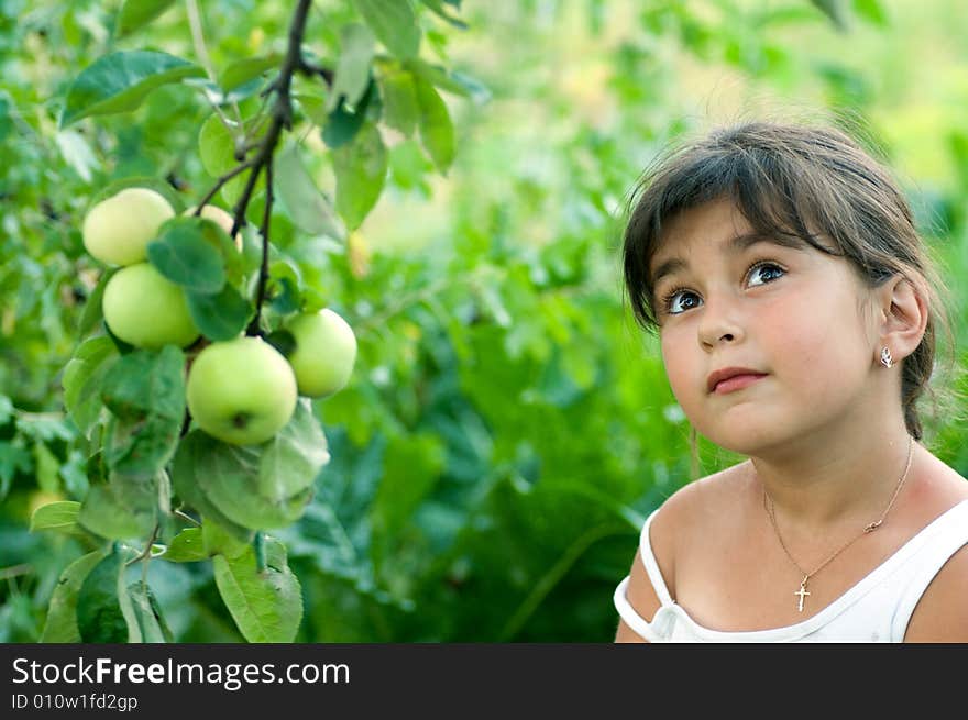 Shot of girl and garden apples. Shot of girl and garden apples