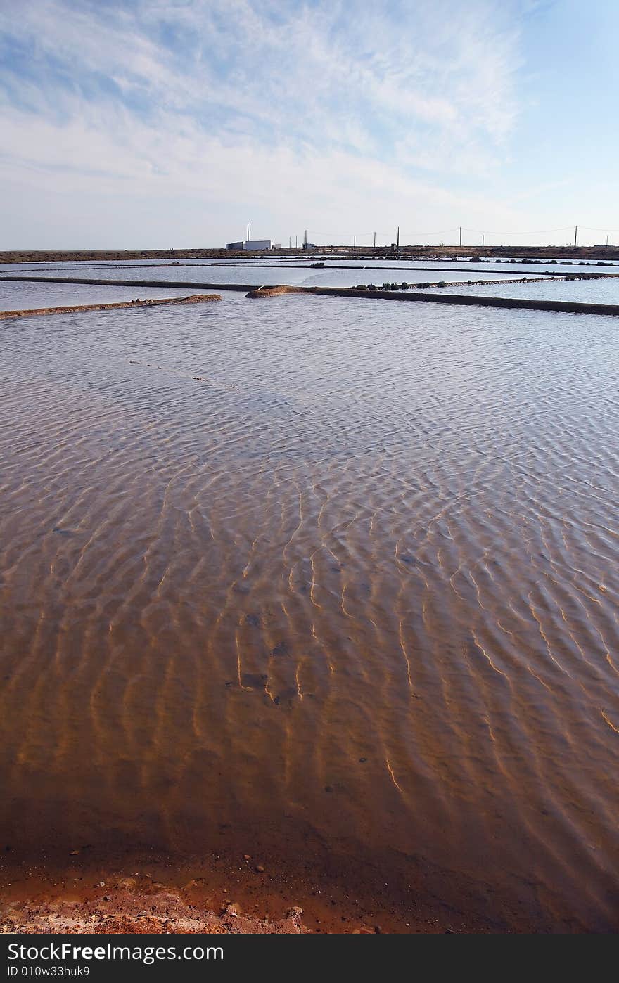 Saline Marshland