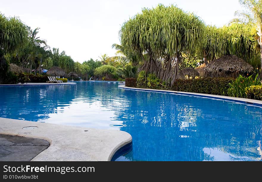 A tropical swimming pool with deep blue water. A tropical swimming pool with deep blue water