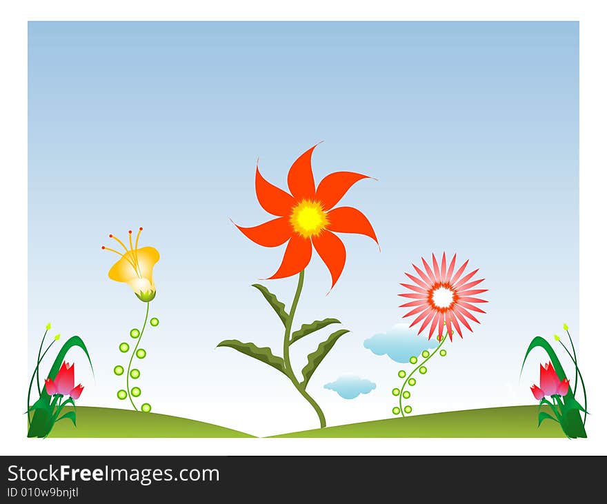 Flower plants on isolated background. Flower plants on isolated background