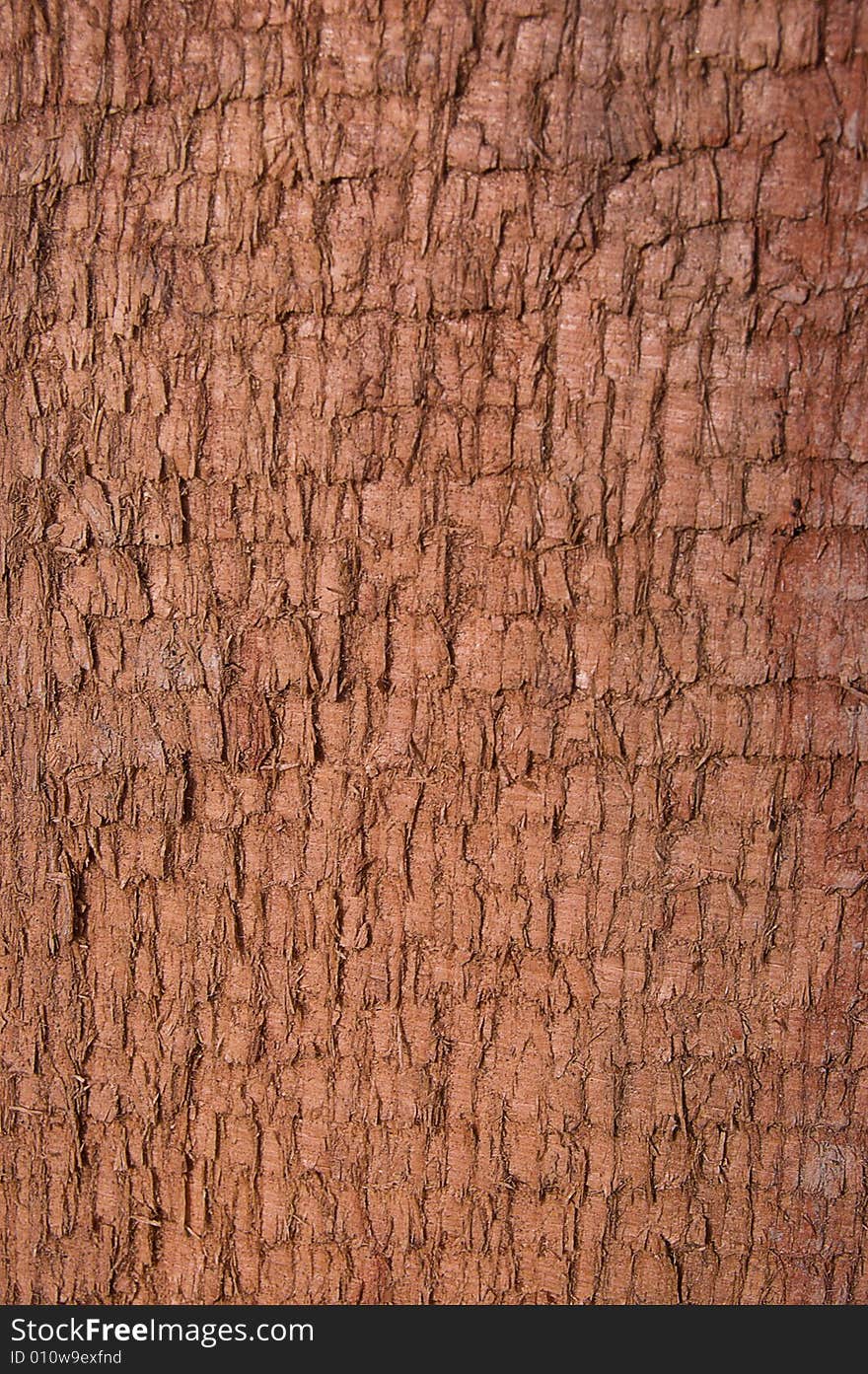 Rough wooden surface of red tone. Rough wooden surface of red tone