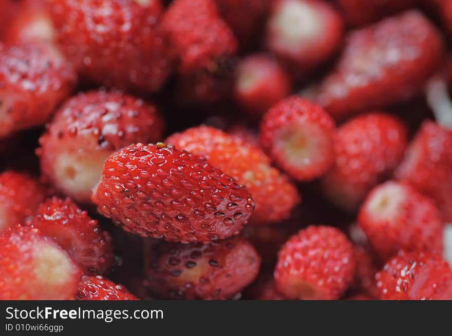 Wild strawberries. Narrow depth of field.