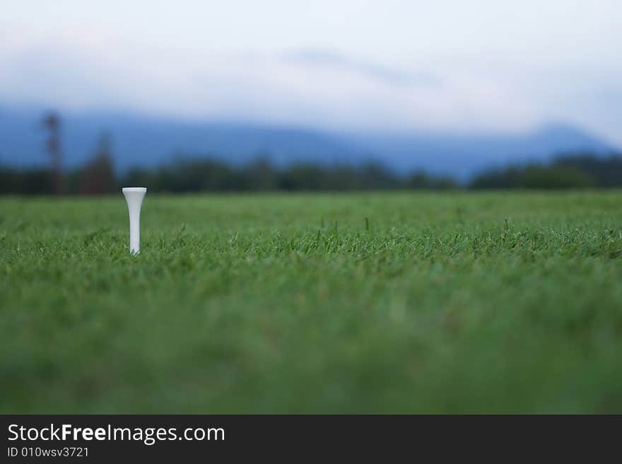 An empty tee on a green. Shallow depth of field, tee in focus.