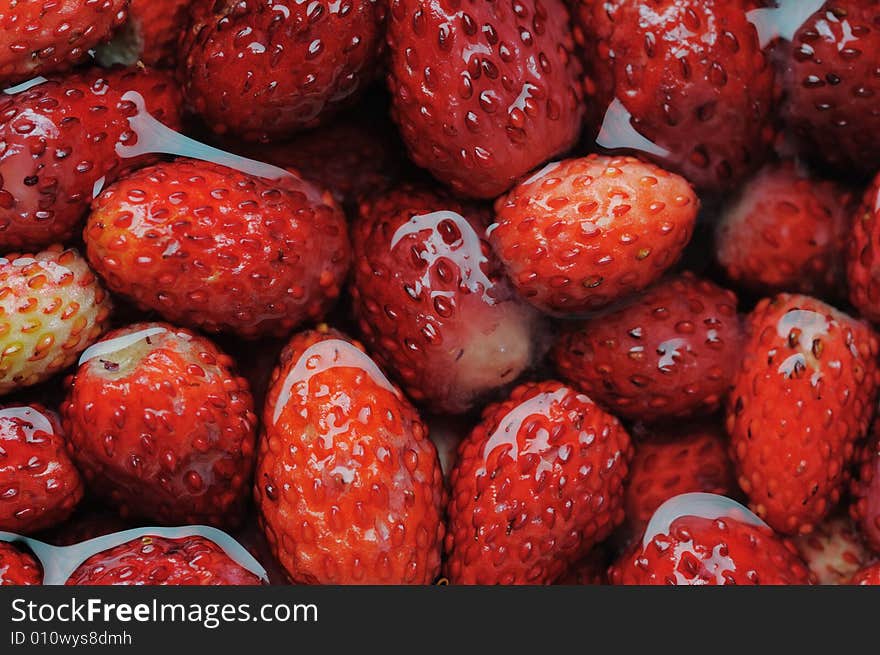 Wild strawberries. Narrow depth of field.