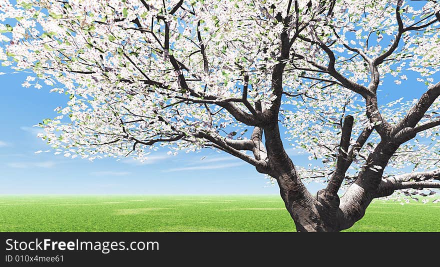 Beautiful landscape with blossoming tree