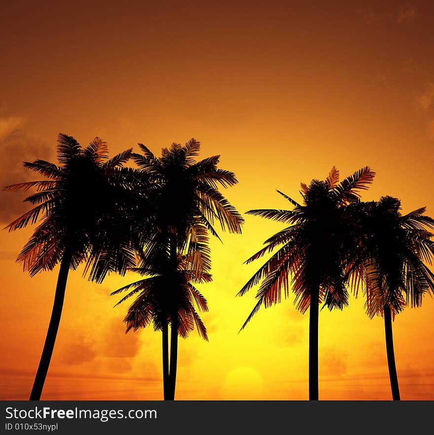 Beautiful sunset with palms. 3d image