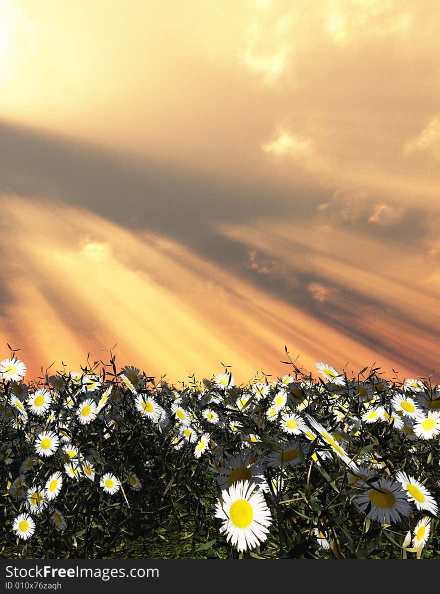 Beautiful field of flowers in the god rays. Beautiful field of flowers in the god rays