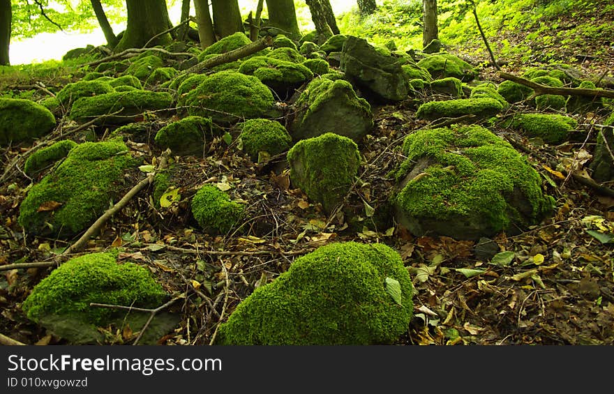 Detail of old stones covered by Moss. Detail of old stones covered by Moss