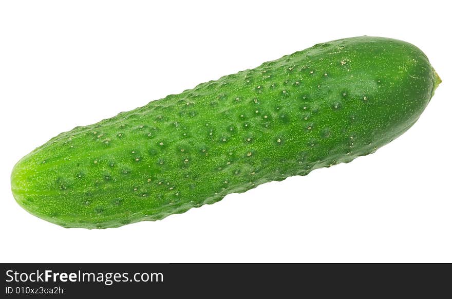 Cucumber